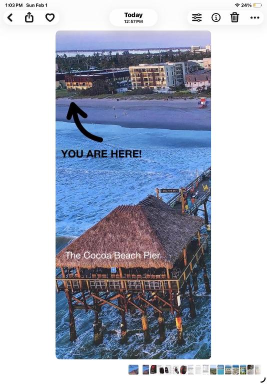 a screenshot of a beach with a bird flying over the water at Condo By The Sea! in Cocoa Beach