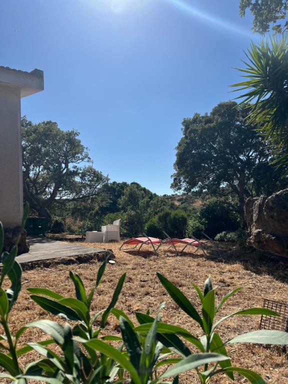 Il Lentischio Casa B2