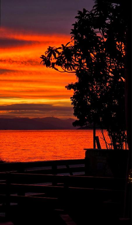 a sunset over the ocean with a tree in the foreground at Galazio suites 1 Seaside in Salamina