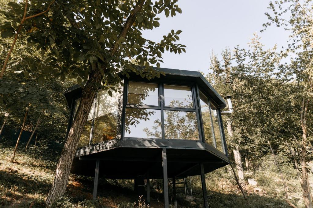 a tree house with a window in a tree at Open View Place Octagon in Pângărăcior
