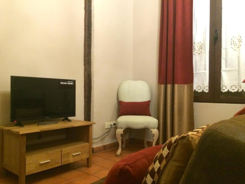 TV a/nebo společenská místnost v ubytování Apartamentos Coliseo