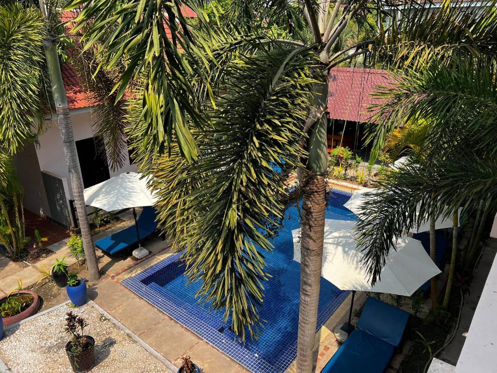 una vista dall'alto di una piscina con palme di Amara Angkor Boutique a Phumĭ Réach Born