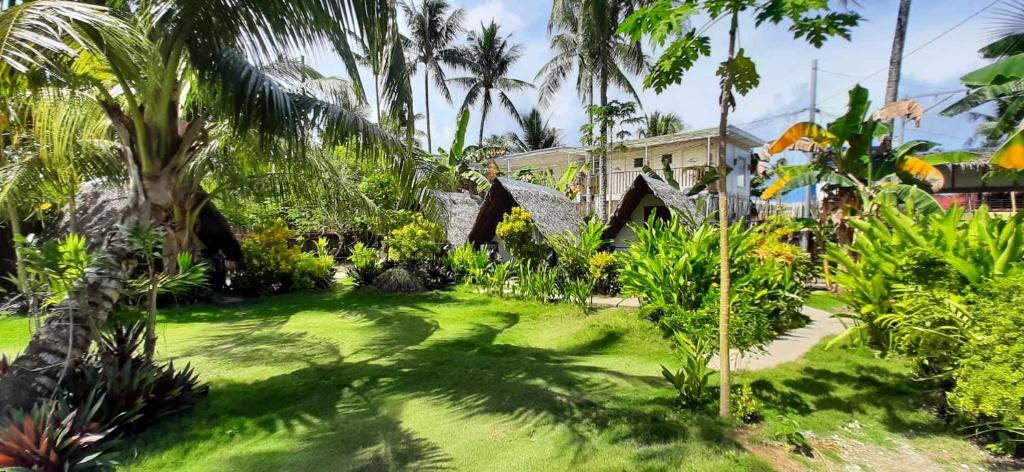 a green yard with palm trees and a house at Dream Catcher Nipas Siargao in General Luna