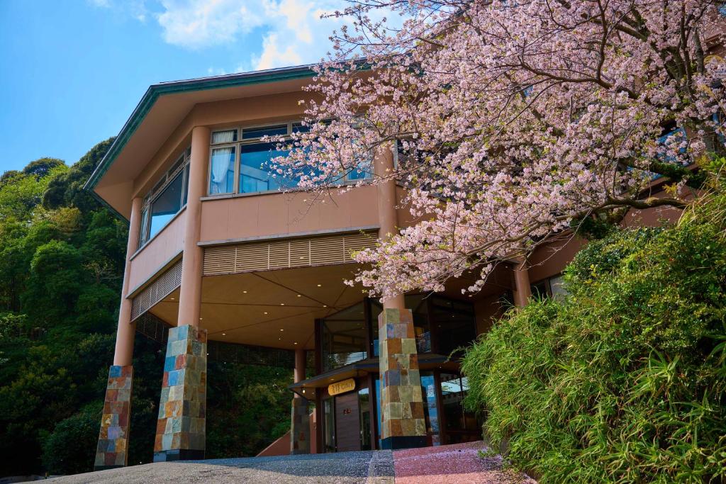 Vergrößerte Ansicht