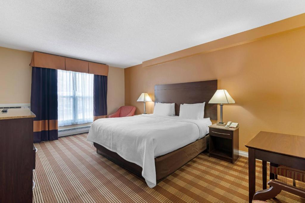 Quality Inn North Conway - King Kamer