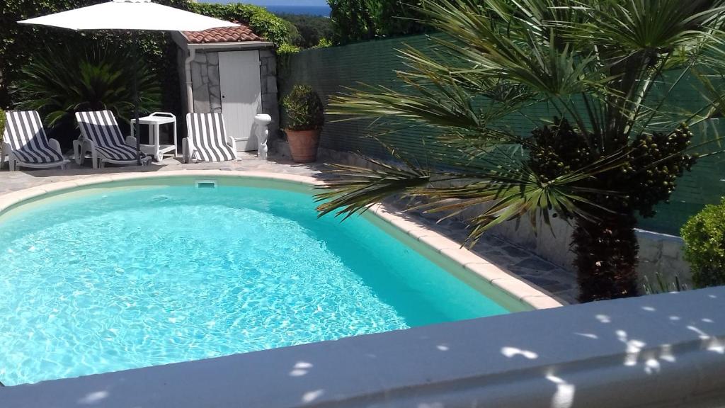 a swimming pool with two chairs and a palm tree at Appartement Sole e Mare in Furiani