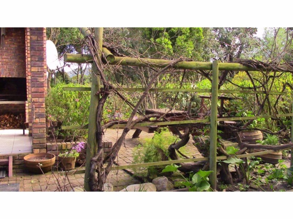 Un jardín fuera de Forest Nest Cottage, Tsitsikamma