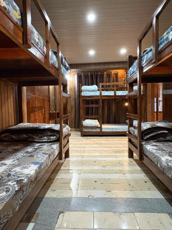 a room with a bunch of bunk beds in it at Bunk Stays in Darjeeling
