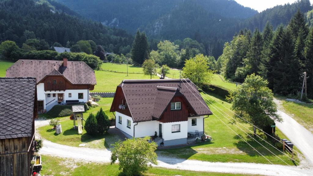an aerial view of two houses in a field at Ferienhaus Julia in Admont