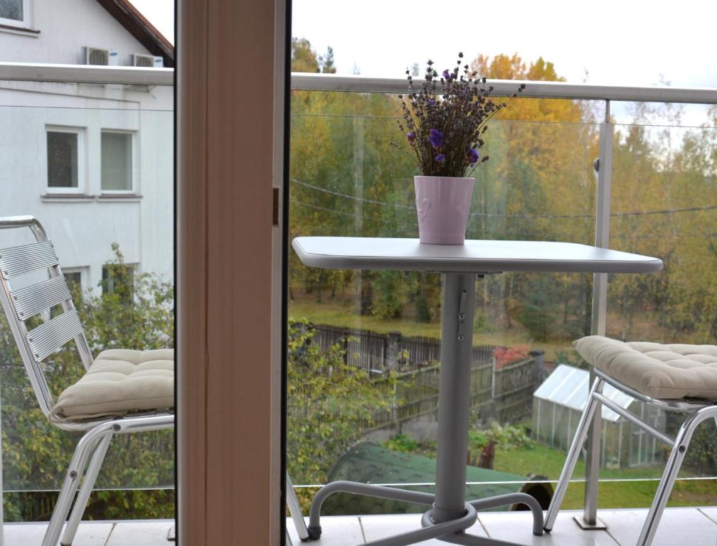 Apartments with spa Jacuzzi and sauna - 