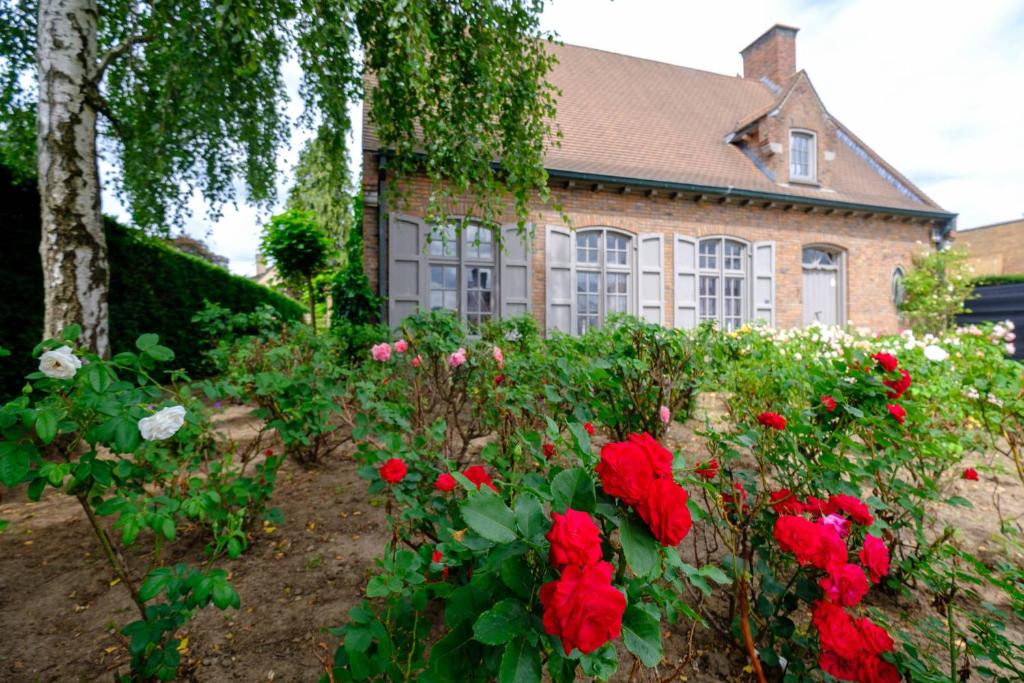 a garden with red roses in front of a house at Rozerie BV in Waregem