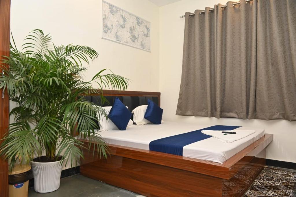 a bedroom with a bed with blue pillows and a plant at pitambara studio apartment with kitchen in Karadoho
