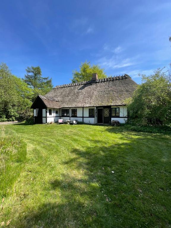a house with a grassy yard in front of it at Guest house Æbelnæs, Møn in Stege