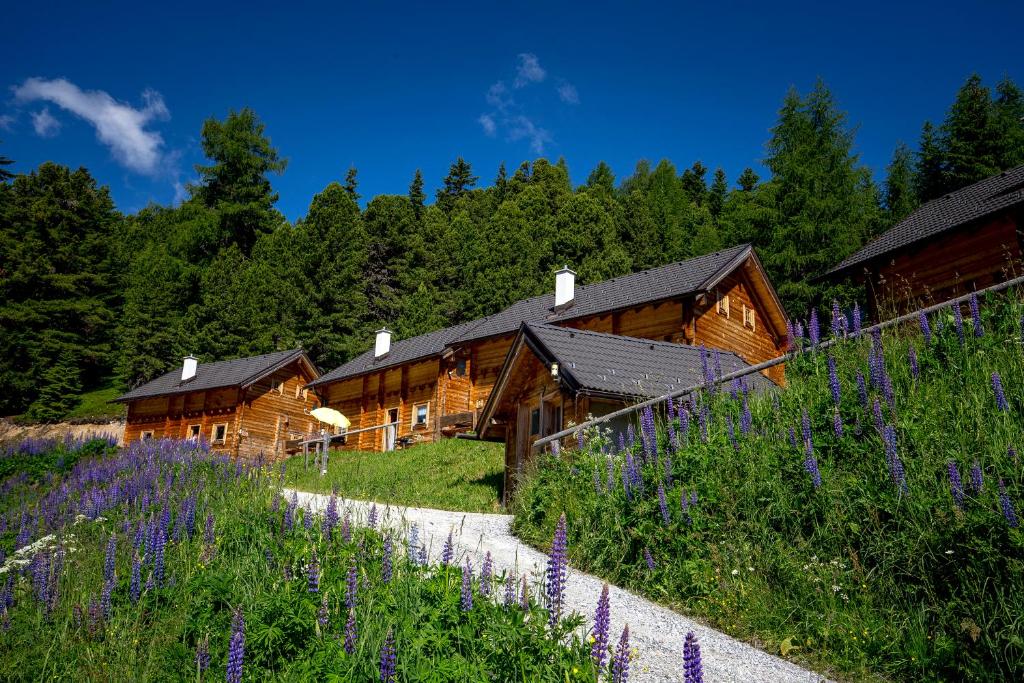 a group of wooden buildings in a field of purple flowers at MarktlAlm Turracher Höhe in Turracher Hohe