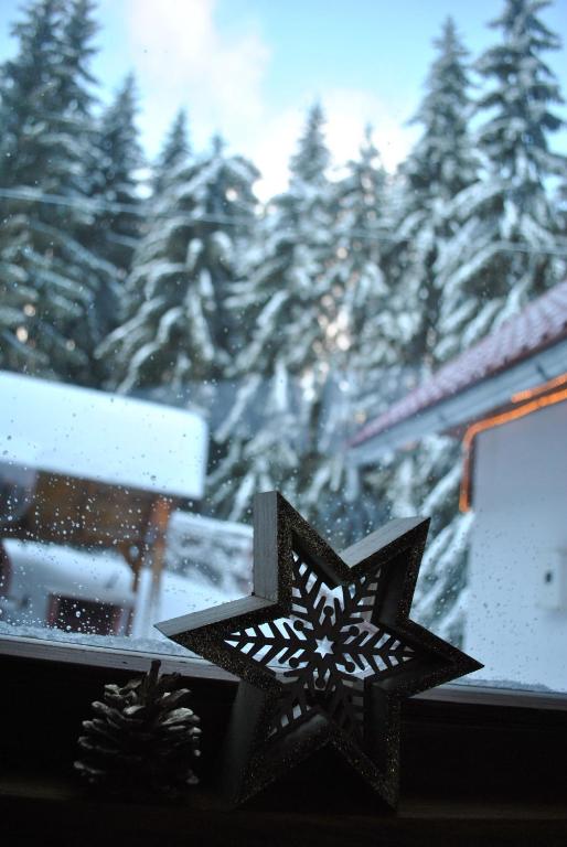 a christmas star on a window with a snow covered forest at Bori Guest House in Miercurea-Ciuc