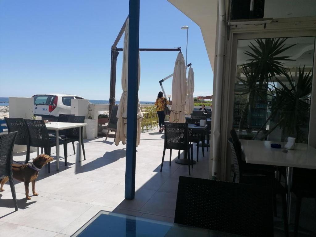 a dog standing on a patio with a table and chairs at Chalet del Sol in Fano