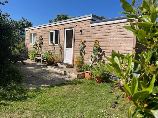 a small house with a white door and some plants at La Mer self-catering in Sark