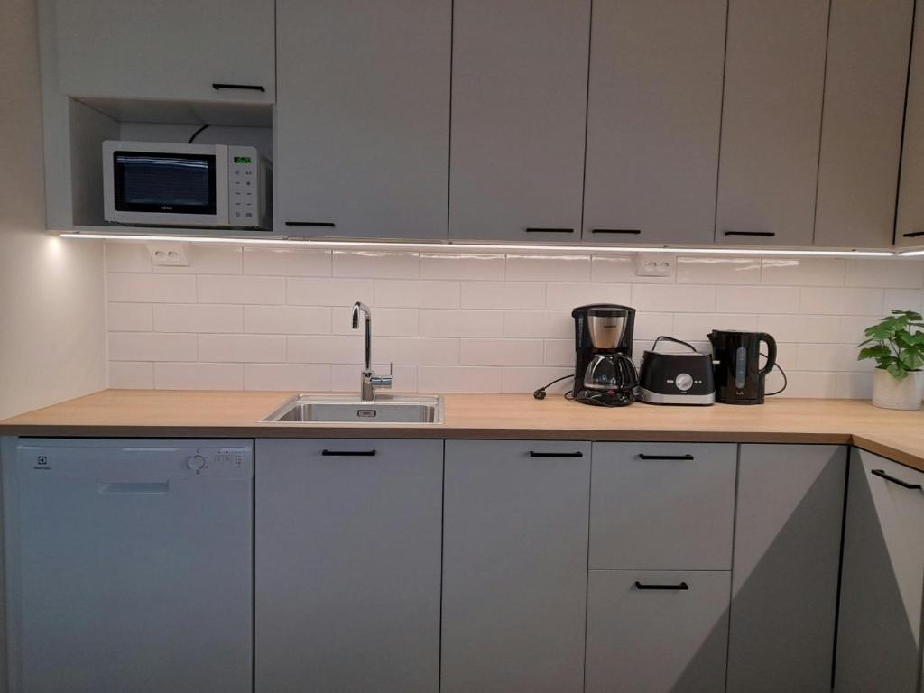 a kitchen counter with a sink and a microwave at Spacious Apartment for 4 with Sauna in Oulu