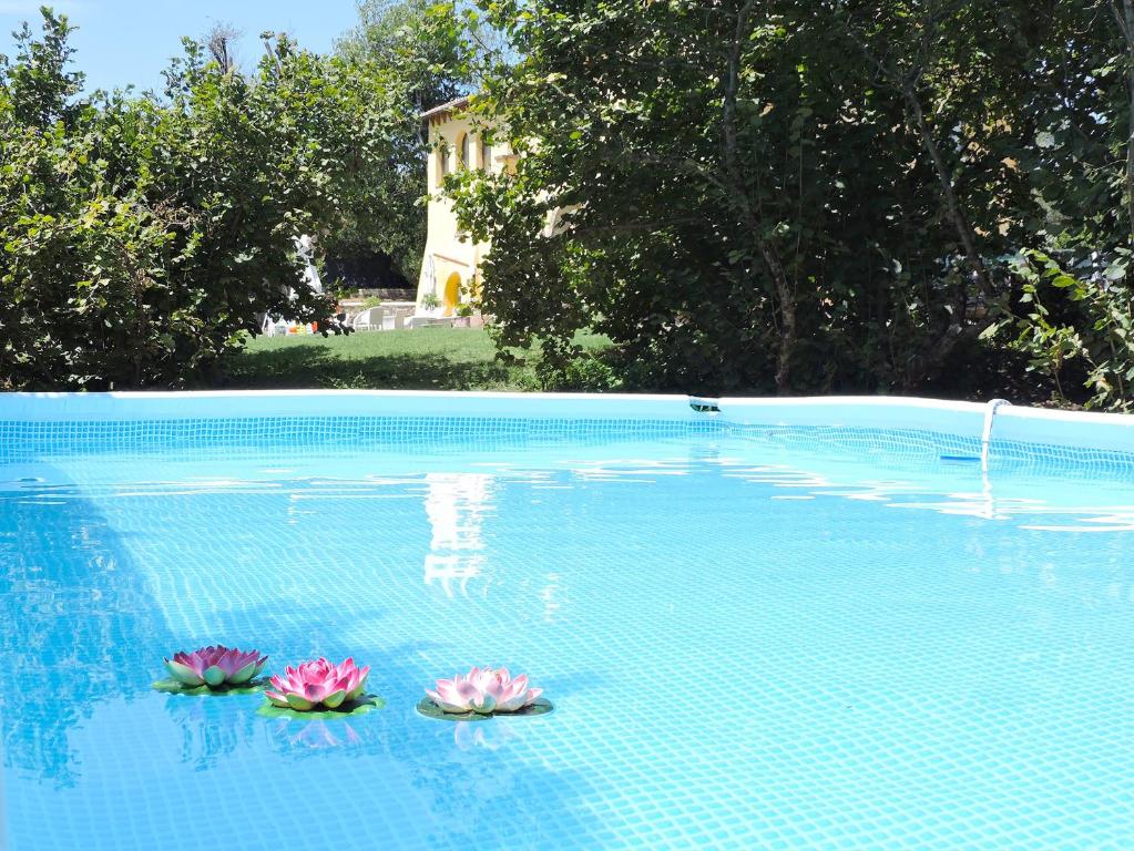 Piscina di Casale Fedele Family Relax B&B Vicino al Borgo o nelle vicinanze