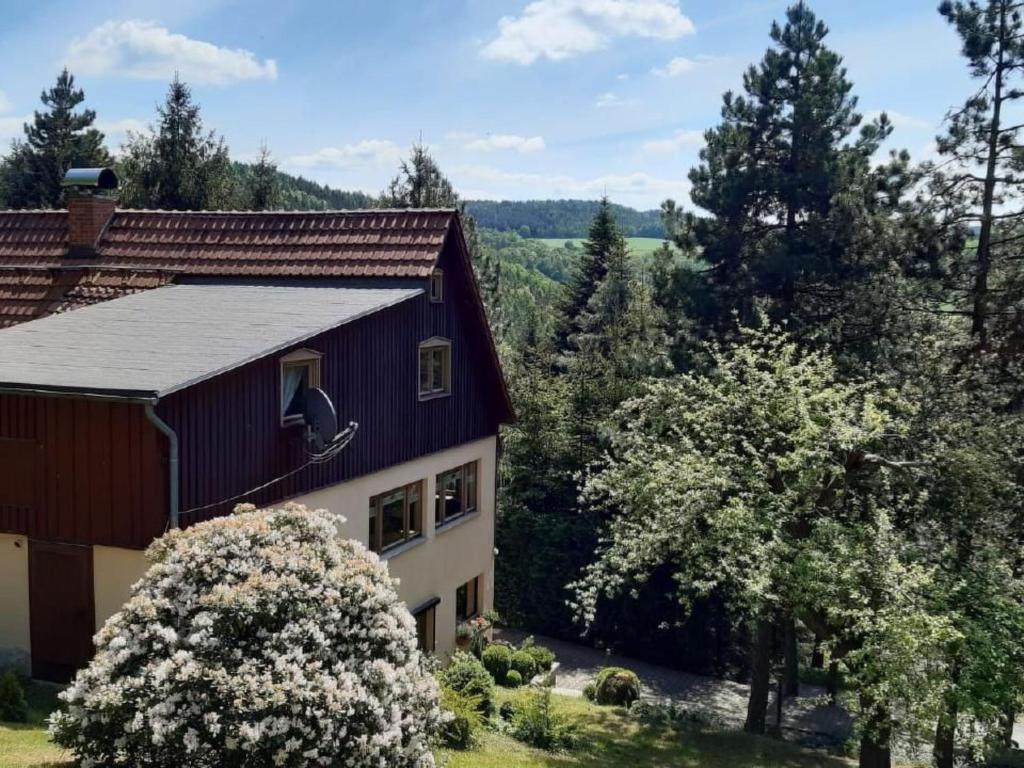 a house with a flowering tree in front of it at Apartment Bergnest by Interhome in Bad Gottleuba