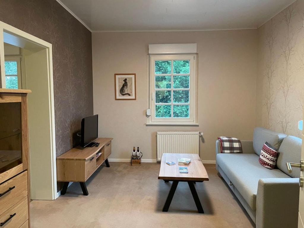 a living room with a couch and a table at Apartment Annika by Interhome in Hückeswagen