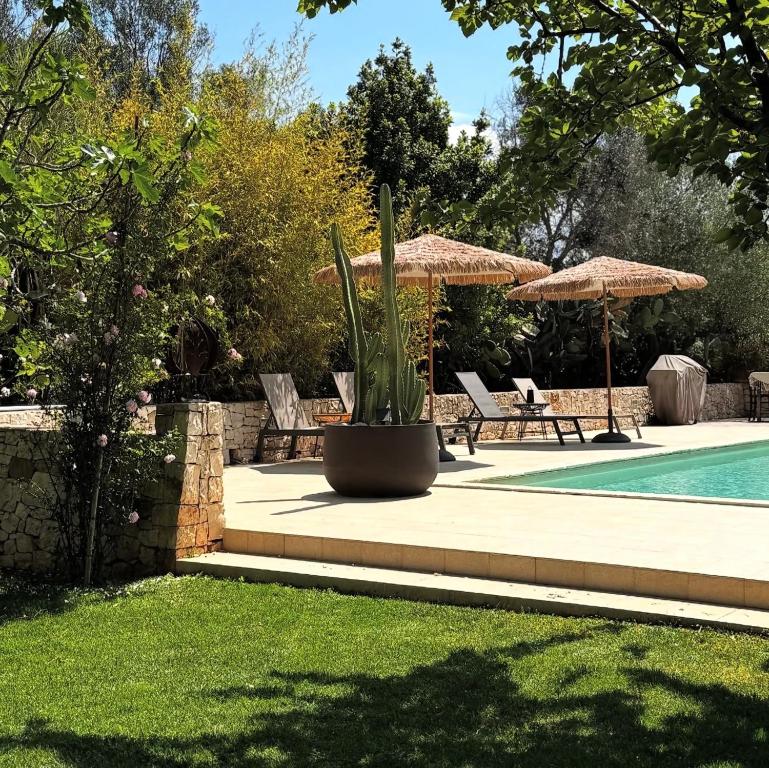 a yard with a pool and chairs and umbrellas at Il Saraceno B&B in Carovigno
