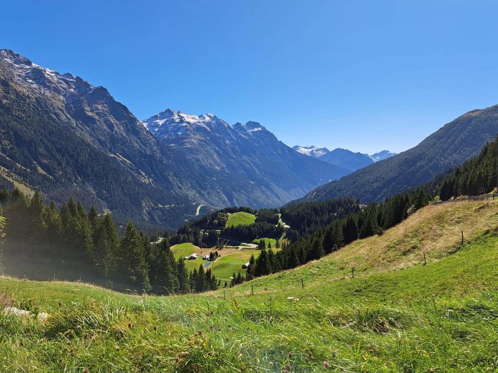 a view of a valley in the mountains at Chalet San Bernardino in San Bernardino