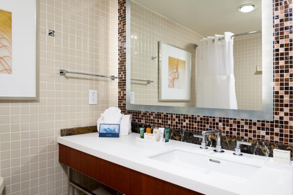 DoubleTree by Hilton Washington Dulles Airport photo