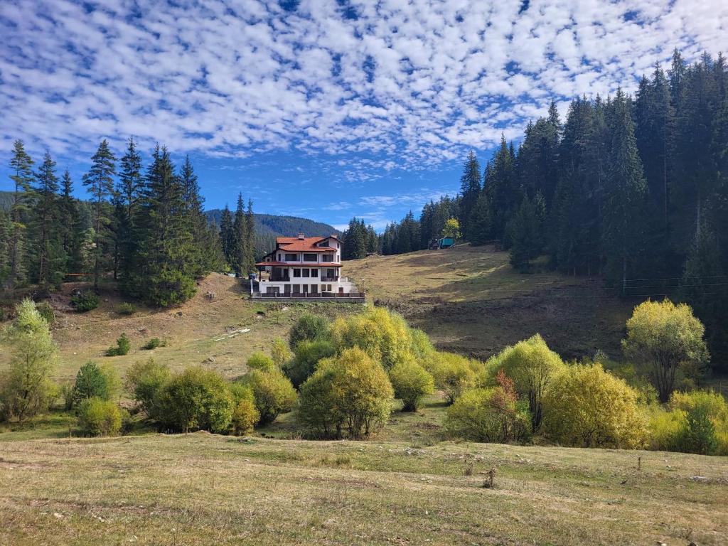 a house on top of a hill with trees at Daisy Forest in Borino