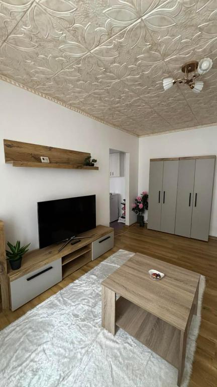 a living room with a table and a flat screen tv at Sylvia Residence in Lupeni