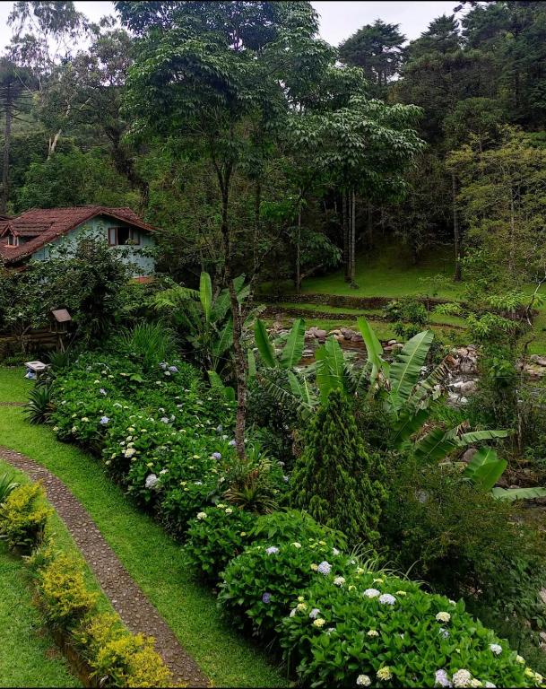 a garden with flowers and a house in the background at Pousada Céu aberto in Núcleo Mauá