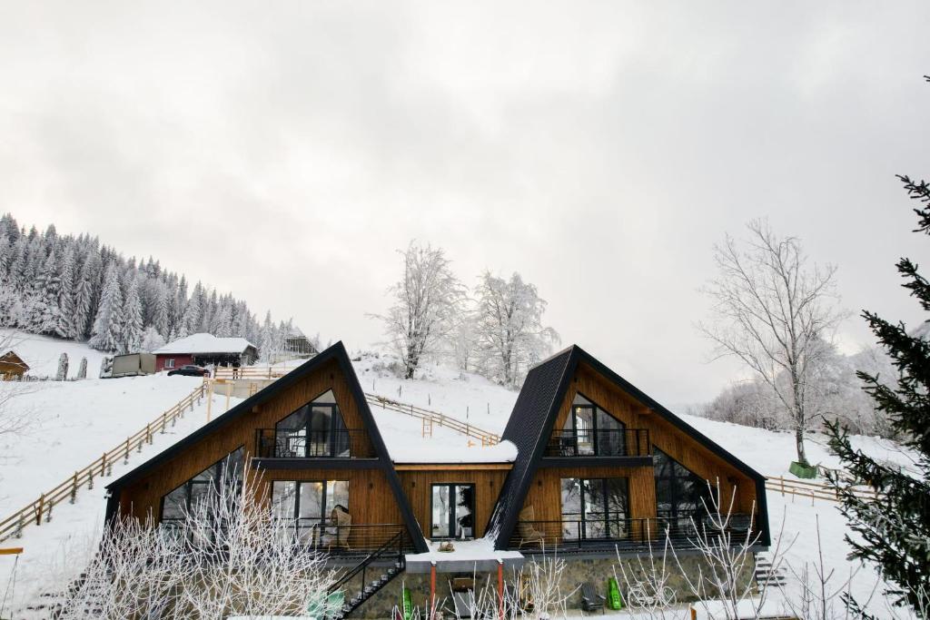 a large wooden house in the snow at Chalet Alex in Fundata