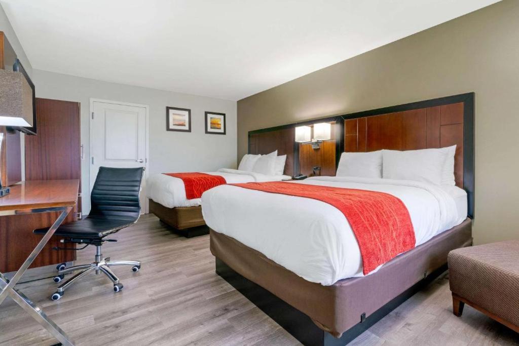 Antioch Inn and Suites - Habitación Doble Estándar
