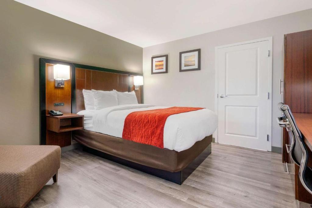 Antioch Inn and Suites - Habitación Estándar Con Cama Queen