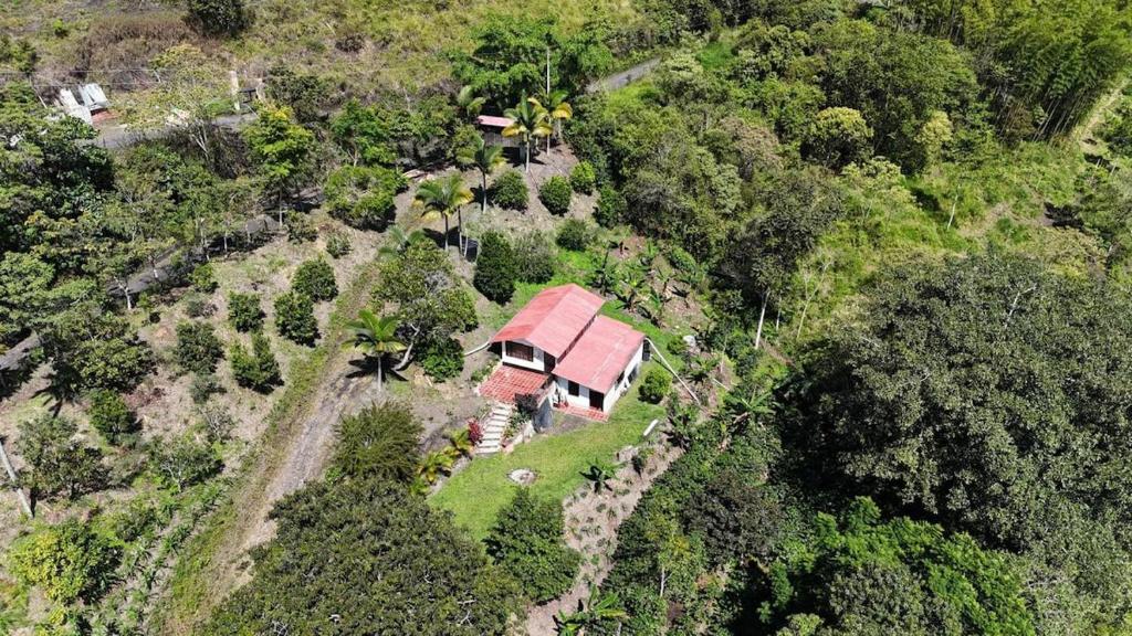 an aerial view of a house in the middle of a forest at Mi Cabaña in Nimaima