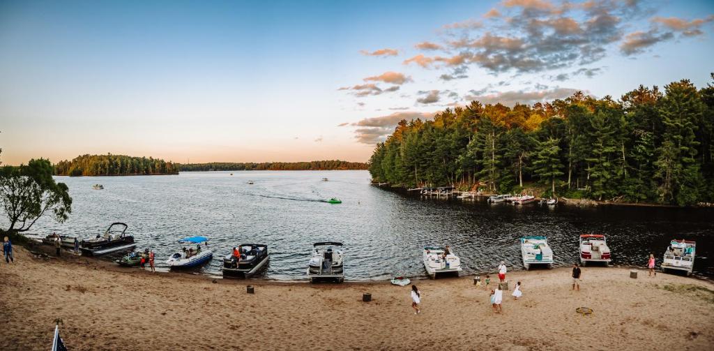 a group of boats parked on the shore of a lake at Bootleggers Lodge on Lake Nokomis in Tomahawk
