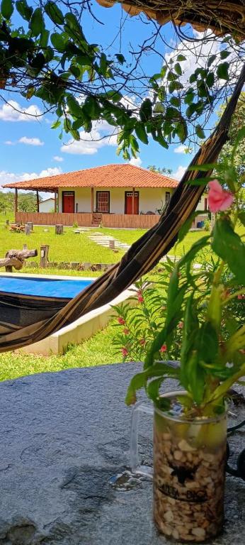 a plant in a pot next to a pool at Casa Ypê in Pirenópolis
