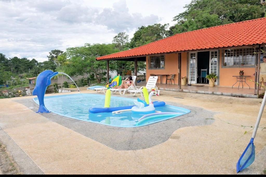 a swimming pool with a water park with a dolphin playground at Chacara Vale do Barreiro in Taubaté