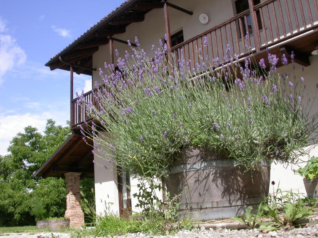 un grande vaso con fiori viola sul lato di una casa di Cascina Creusa B&B a Pocapaglia