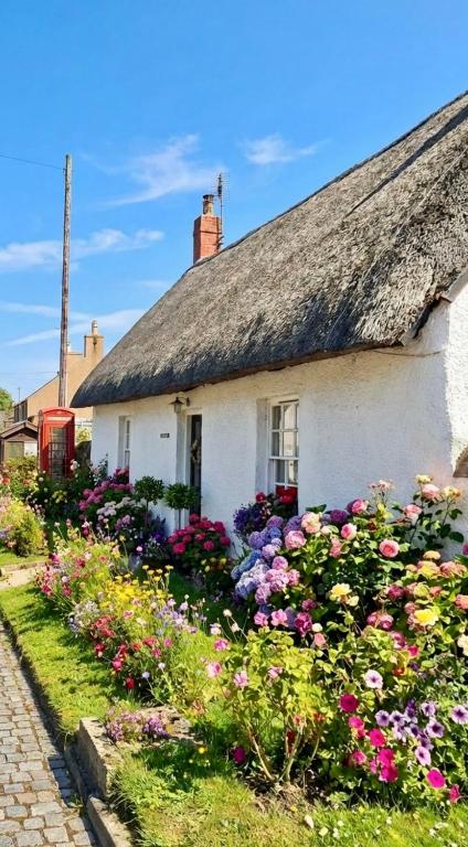 a white house with flowers in front of it at Thatched Cottage on Northumberland border in Kirk Yetholm