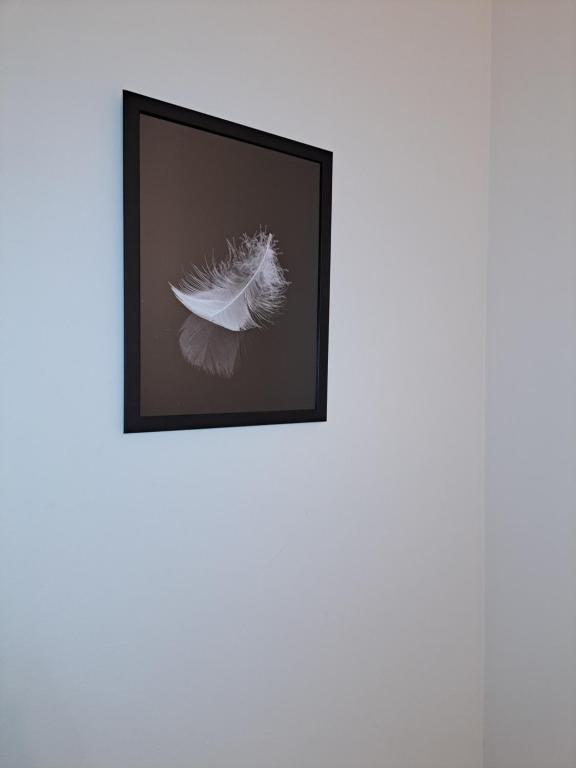 a picture of a white feather on a wall at La Piuma in Misterbianco