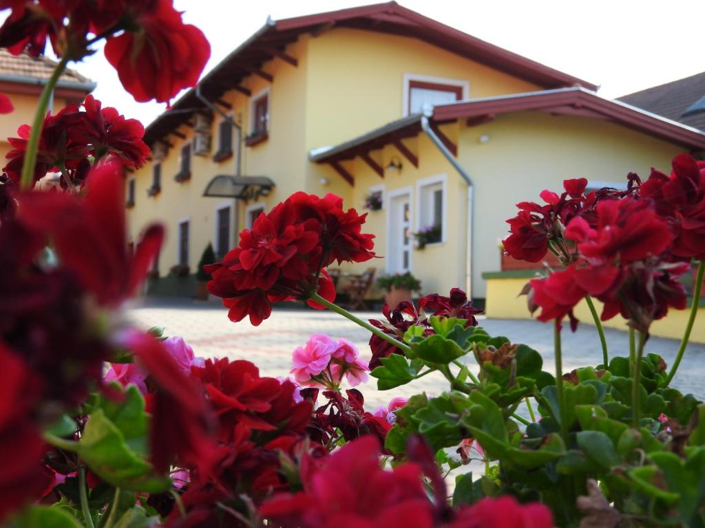 a bunch of red flowers in front of a house at Halász Airport Panzio in Vecsés