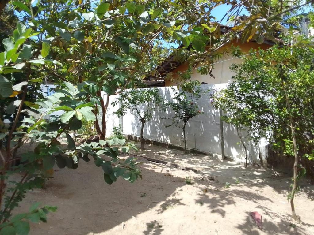a backyard with trees and a white wall at Villa Aloe Vera- Signature Rooms in Weligama