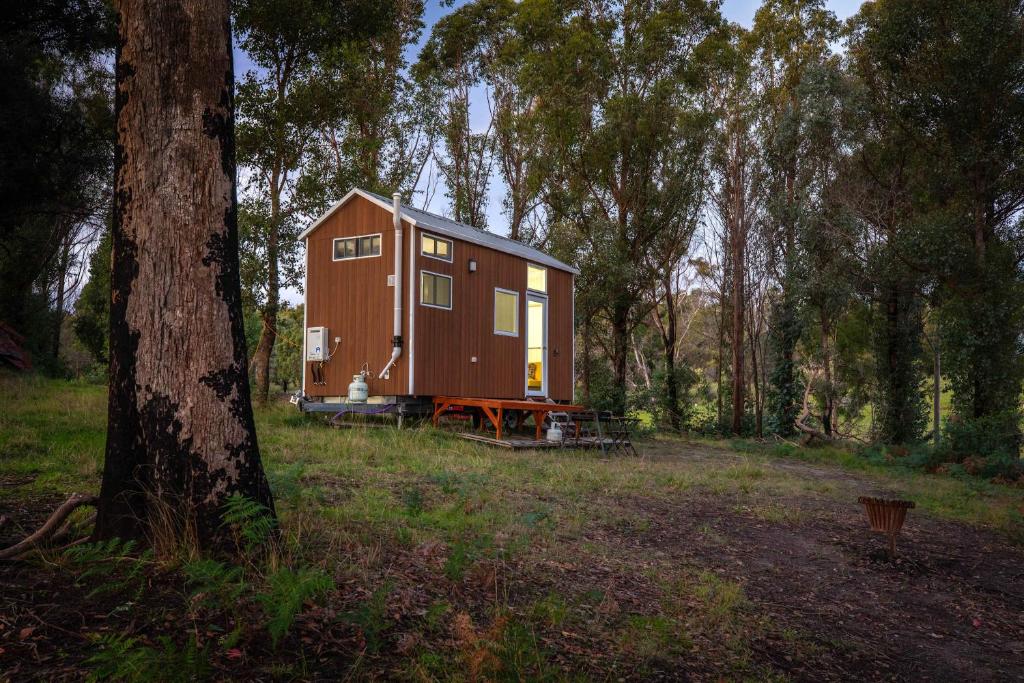 a tiny house in the middle of a forest at Raintree Farmstay by Tiny Away in Sarsfield