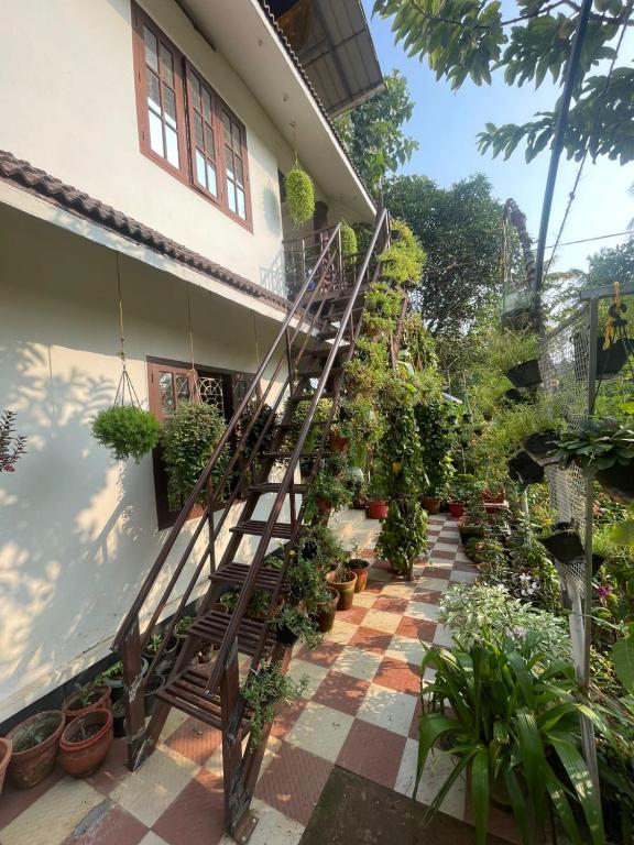 a staircase leading up to a house with potted plants at Ridge Bae Homestay in Varkala