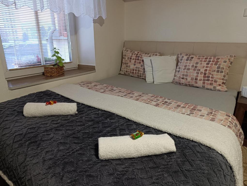 U Bocmana s výhledem na zámek a Labe - 2