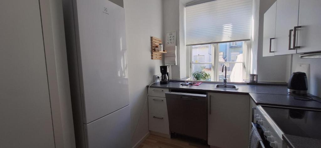 a kitchen with a sink and a refrigerator and a window at Private Room in a shared apartment in Odense