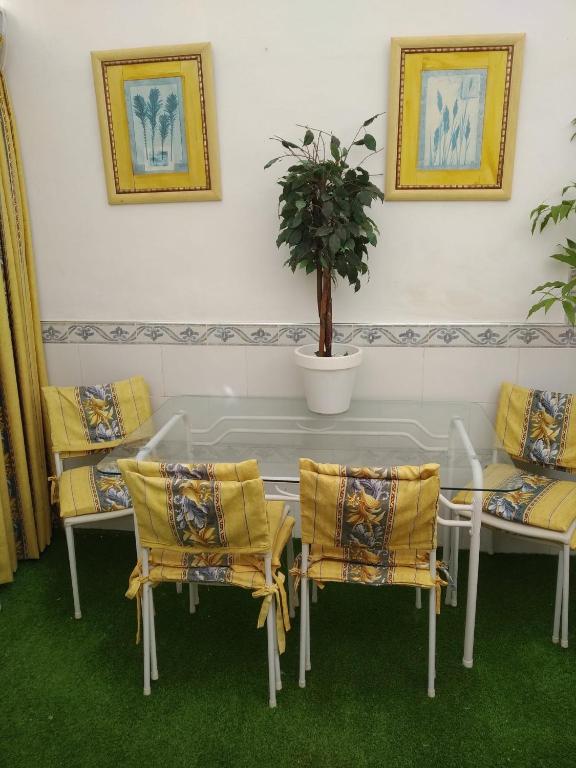 Habitación privada en apartamento compartido Teatinos Pilar planta baja