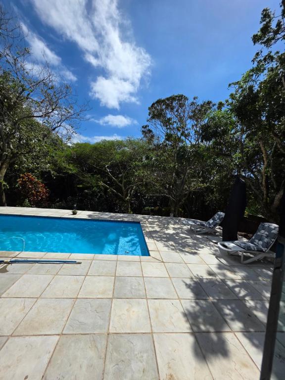 a swimming pool in a yard with trees at Geckos Rest Southbroom in Southbroom