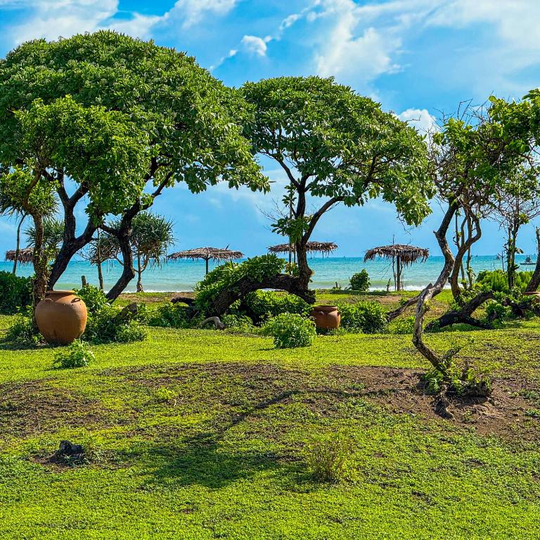 a group of trees with the ocean in the background at MareCoves Resort & Glamping in Cilangkahan